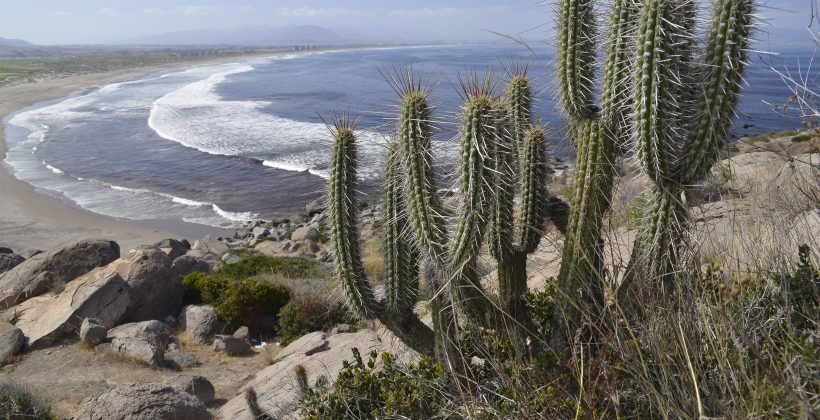 Conoce el pronóstico del tiempo del domingo 4 de septiembre en la Región de Coquimbo