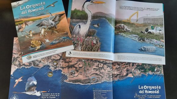 “La orquesta del humedal”: Cuento educativo muestra la importancia de los humedales costeros de la región de Coquimbo