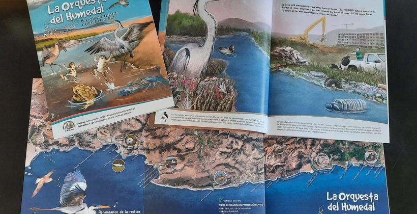 “La orquesta del humedal”: Cuento educativo muestra la importancia de los humedales costeros de la región de Coquimbo