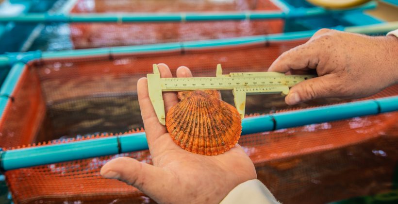 Acuicultores de Ecuador y Perú conocieron el trabajo conjunto  de ciencia e industria en Chile para afrontar el cambio climático