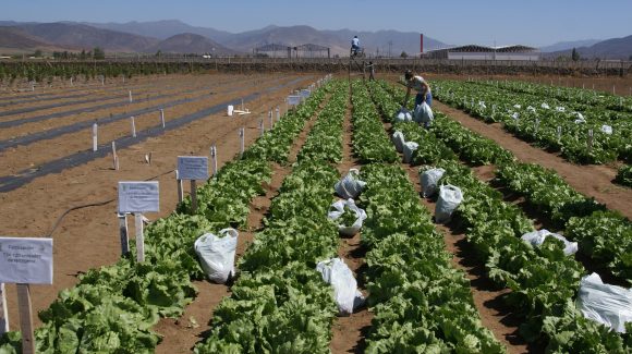 Según estudio de alto impacto: Región de Coquimbo presenta 18 riesgos por el cambio climático