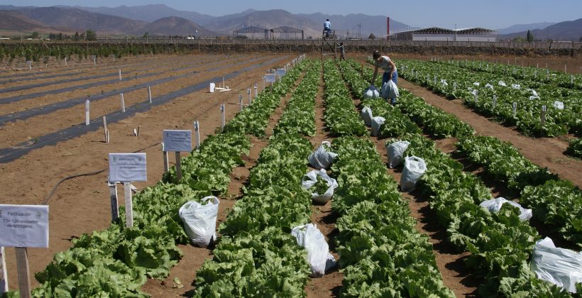 Según estudio de alto impacto: Región de Coquimbo presenta 18 riesgos por el cambio climático