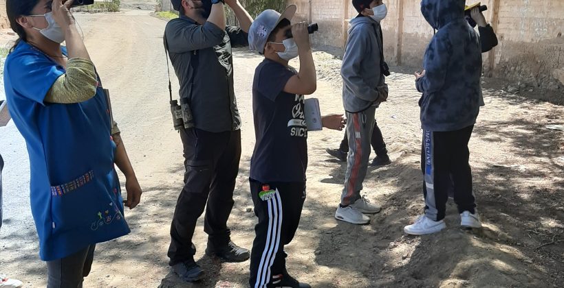 Iniciativa de CEAZA enseñó a estudiantes a explorar y conocer las aves de su entorno Iniciativa de CEAZA enseñó a estudiantes a explorar y conocer las aves de su entorno