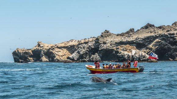 Seminario busca aportar conocimiento científico a las personas que estudian y trabajan en turismo en la Región de Coquimbo