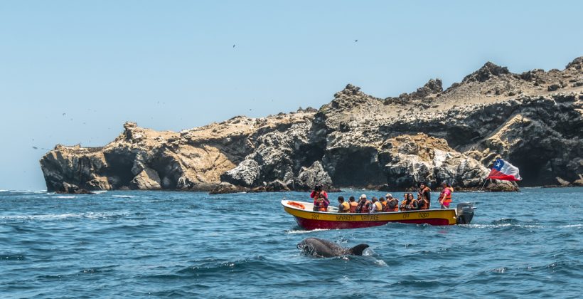 Seminario busca aportar conocimiento científico a las personas que estudian y trabajan en turismo en la Región de Coquimbo Seminario busca aportar conocimiento científico a las personas que estudian y trabajan en turismo en la Región de Coquimbo