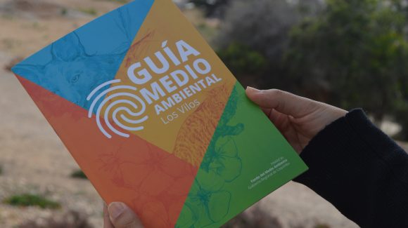 Este jueves 24 de noviembre: Invitan a lanzamiento de Guía Medioambiental de Los Vilos