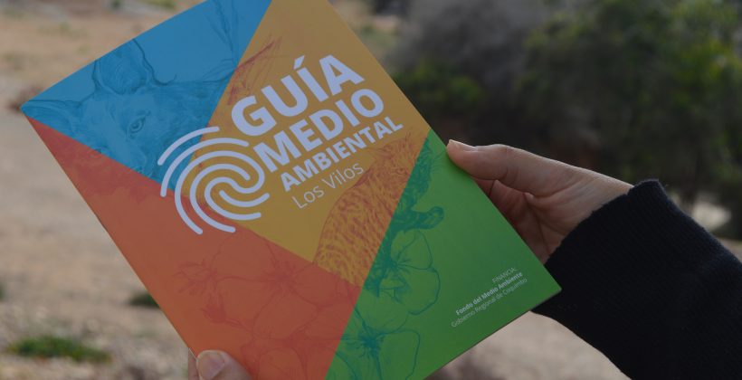 Este jueves 24 de noviembre: Invitan a lanzamiento de Guía Medioambiental de Los Vilos