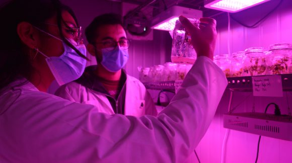 En Congreso Chileno de Microbiología (SOMICH): Destacan la importancia de la microbiología en el contexto del cambio climático