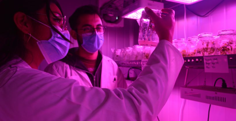 En Congreso Chileno de Microbiología (SOMICH): Destacan la importancia de la microbiología en el contexto del cambio climático