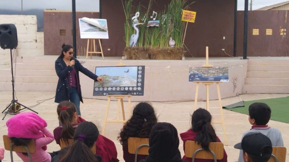 En la provincia del Choapa conocieron el cuento “La Orquesta del Humedal” de CEAZA