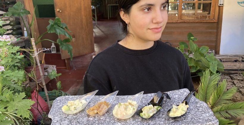 Científicos crean alimento para peces en base a “residuos” de la industria acuícola