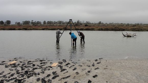 Estudio identificó inundaciones históricas por tsunamis y otros eventos en humedal Pachingo de Tongoy
