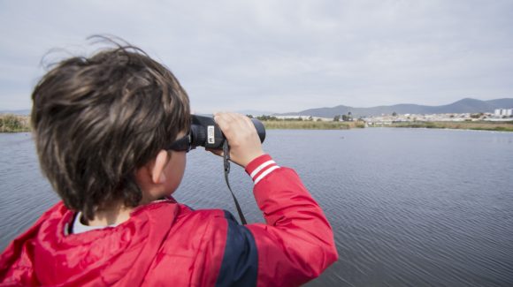 Con diversas actividades se celebrará el “Día de los humedales” en la Región de Coquimbo