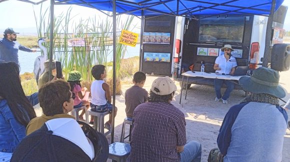 CEAZA participará en diversas actividades de divulgación científica durante el verano