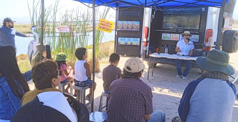 CEAZA participará en diversas actividades de divulgación científica durante el verano