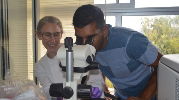 Mediante análisis de microorganismos marinos se estudia el clima del pasado en la Región de Coquimbo y Chile