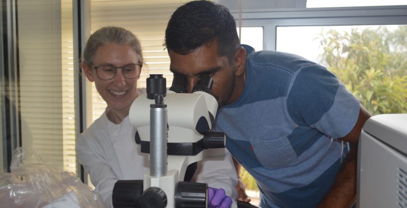 Mediante análisis de microorganismos marinos se estudia el clima del pasado en la Región de Coquimbo y Chile