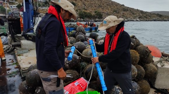 Instalación de tecnología en Bahía de Guanaqueros podría mejorar procesos productivos de empresa Scallop