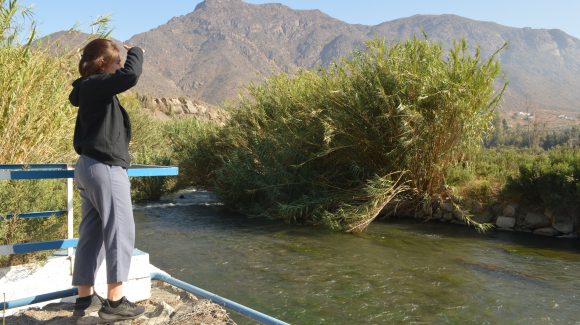 CEAZA pronostica precipitaciones dentro del rango normal para la época del año en la Región de Coquimbo