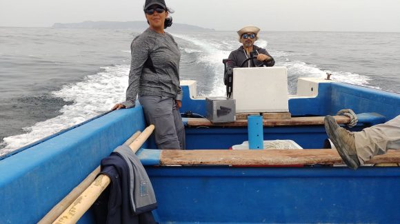 Estudio busca entender cambios químicos en ecosistemas marinos y sus potenciales efectos en organismos que lo habitan