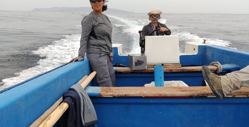 Estudio busca entender cambios químicos en ecosistemas marinos y sus potenciales efectos en organismos que lo habitan