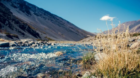 Consejo Consultivo busca actualizar el Plan de Manejo para la Conservación del Santuario de la Naturaleza Estero Derecho