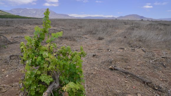 Boletín Climático CEAZA: Escasas precipitaciones en abril, se mantienen los bajos niveles del agua en la Región de Coquimbo