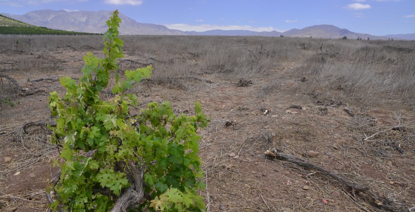 Boletín Climático CEAZA: Escasas precipitaciones en abril, se mantienen los bajos niveles del agua en la Región de Coquimbo