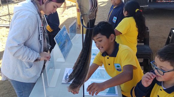 CEAZA Móvil y Laboratorio de Oceanografía se unen para enseñar sobre plancton y su importancia