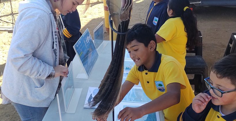 CEAZA Móvil y Laboratorio de Oceanografía se unen para enseñar sobre plancton y su importancia