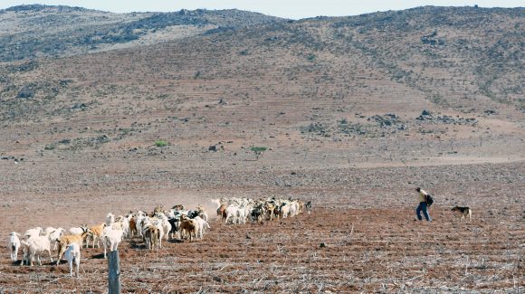 Conoce los factores que influyen en la abundancia o escasez de lluvias  en la Región de Coquimbo