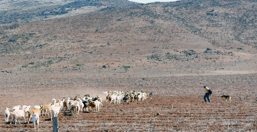 Conoce los factores que influyen en la abundancia o escasez de lluvias  en la Región de Coquimbo