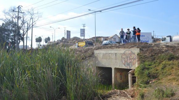 Centro Científico CEAZA participa en visita preliminar para la planificación y preservación del Humedal La Herradura