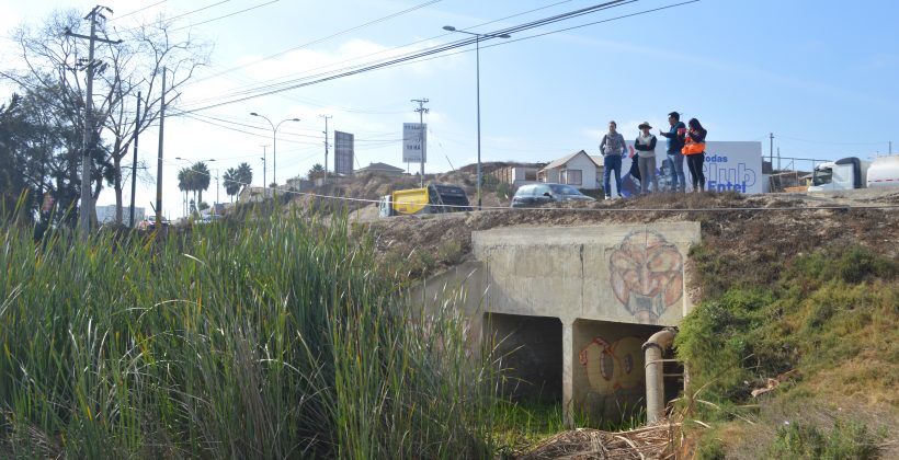Centro Científico CEAZA participa en visita preliminar para la planificación y preservación del Humedal La Herradura