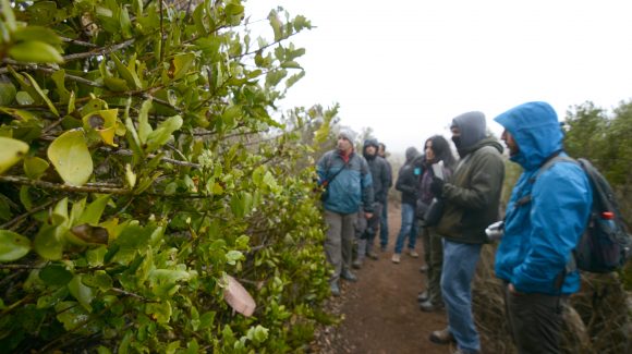 Emprendedores/as regionales en turismo participarán en proyecto que une la ciencia y la naturaleza como protagonistas de la identidad.