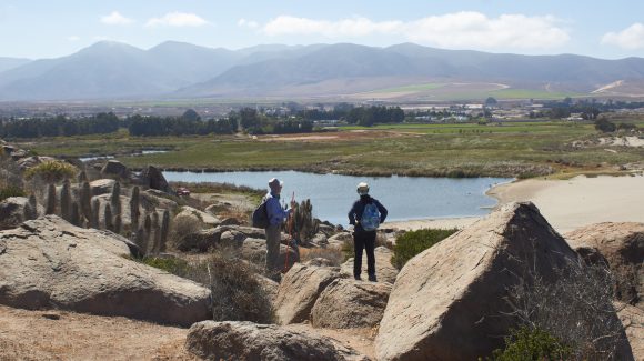 Lanzan proyecto científico sobre humedales costeros de la Región de Coquimbo
