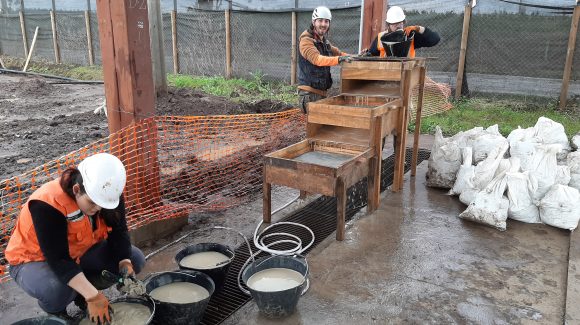 Presentan propuesta metodológica de excavación paleontológica para climas húmedos