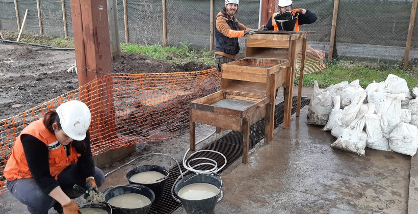 Presentan propuesta metodológica de excavación paleontológica para climas húmedos
