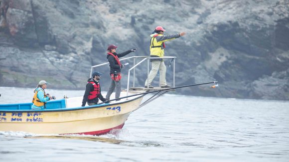 Inteligencia artificial logra clasificar sonidos de ballenas, terremotos y cañones de aire en Chile