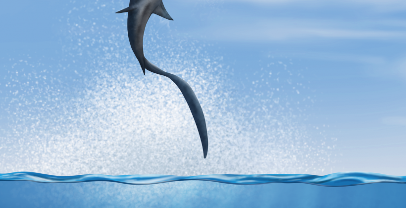 Investigación devela que dos especies de tiburones ya habitaban el norte de Chile hace millones de años atrás