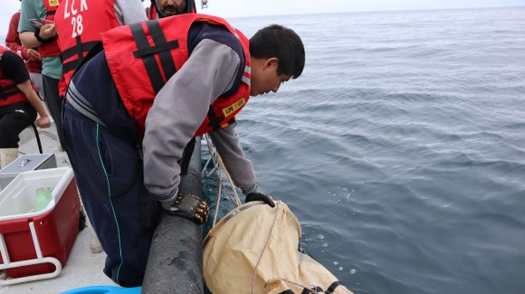 Estudiantes del Liceo de Tongoy realizan muestreo de zooplancton en Bahía de Tongoy