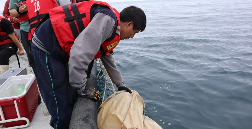 Estudiantes del Liceo de Tongoy realizan muestreo de zooplancton en Bahía de Tongoy