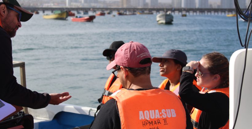 Cruzando fronteras en la investigación: Escuela de Verano sobre ciencias oceanográficas se desarrolla en Chile