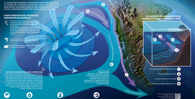 Pósteres interactivos UPWELL invitan a conocer más sobre la surgencia costera y los aspectos interdisciplinarios de su estudio