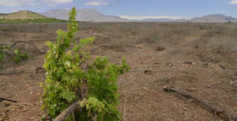 Se pronostican temperaturas bajo el rango normal para la época del año a lo largo de la costa y por encima del rango normal en áreas interiores de la Región de Coquimbo Se pronostican temperaturas bajo el rango normal para la época del año a lo largo de la costa y por encima del rango normal en áreas interiores de la Región de Coquimbo
