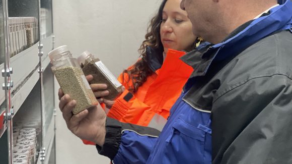 Fitomejoramiento participativo: La alianza entre científicos y agricultores para obtener semillas adaptadas al cambio climático