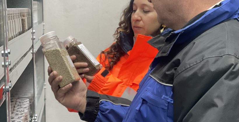 Fitomejoramiento participativo: La alianza entre científicos y agricultores para obtener semillas adaptadas al cambio climático