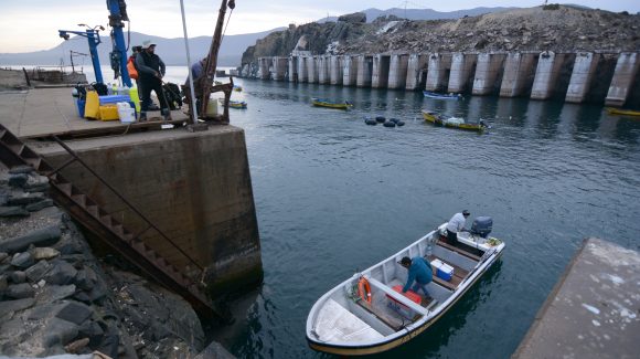 En la Región de Coquimbo: Científicos analizan efectos del fenómeno de El Niño en el océano
