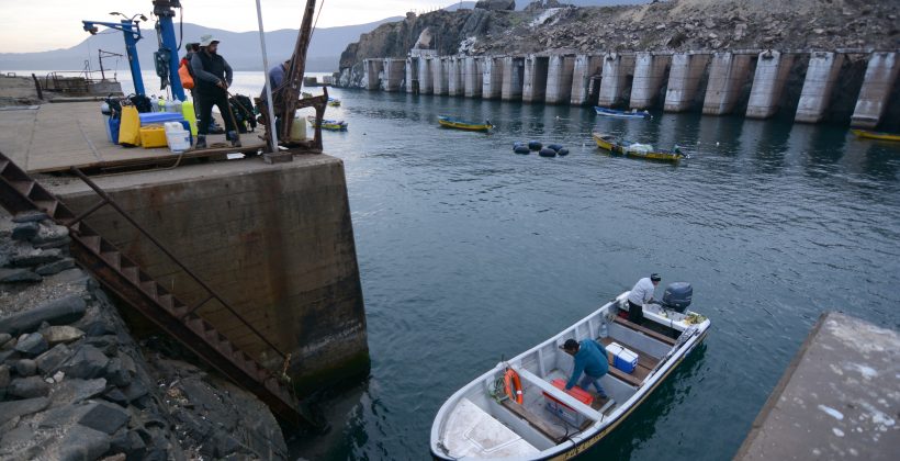 En la Región de Coquimbo: Científicos analizan efectos del fenómeno de El Niño en el océano