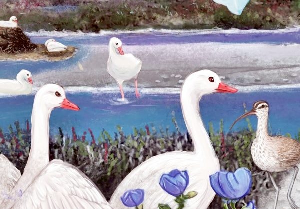 CEAZA presenta cuento que enseña sobre los humedales desde una perspectiva científica
